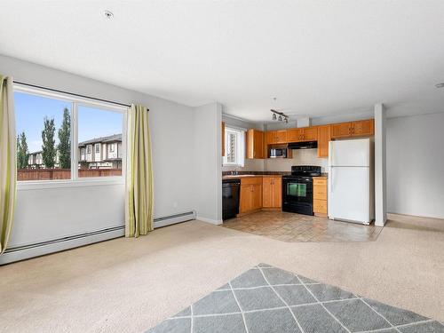 106 3425 19 Street, Edmonton, AB - Indoor Photo Showing Kitchen