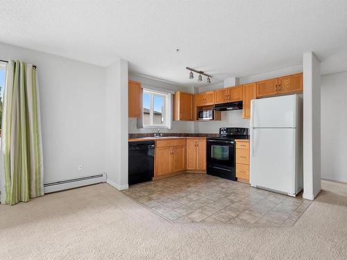 106 3425 19 Street, Edmonton, AB - Indoor Photo Showing Kitchen