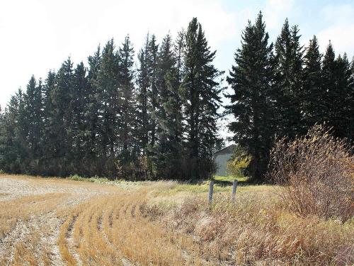 58325 Hwy 44, Rural Westlock County, AB 