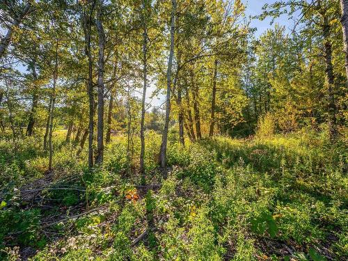 Lot 18B 52249 Rge Rd 233, Rural Strathcona County, AB 