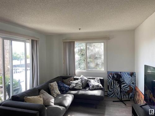 216 2305 35A Avenue, Edmonton, AB - Indoor Photo Showing Living Room