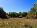 #113 50529 Rge Road 21, Rural Parkland County, AB 