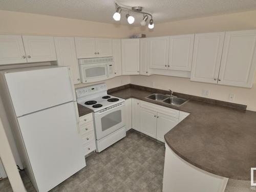 315 13625 34 Street, Edmonton, AB - Indoor Photo Showing Kitchen With Double Sink