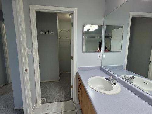 105 Bulyea Road, Edmonton, AB - Indoor Photo Showing Bathroom