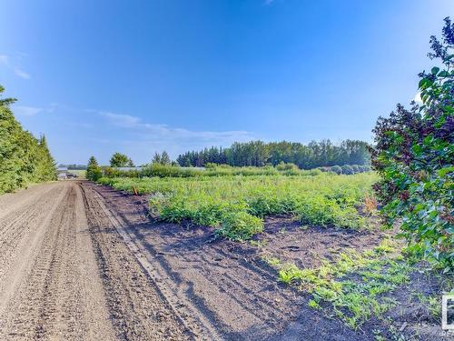 1 52225 + 52217 Rge Road 273, Rural Parkland County, AB - Outdoor