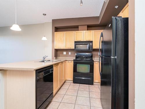 1-309 4245 139 Avenue, Edmonton, AB - Indoor Photo Showing Kitchen With Double Sink