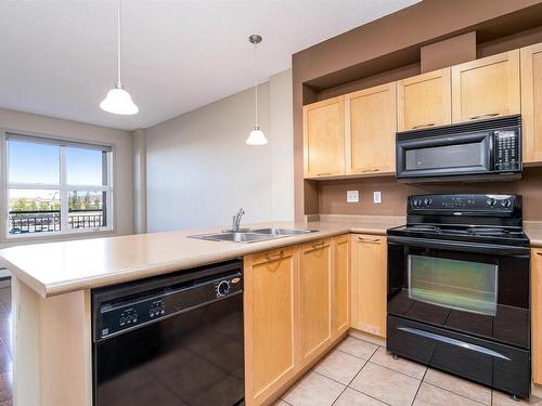 1-309 4245 139 Avenue, Edmonton, AB - Indoor Photo Showing Kitchen With Double Sink