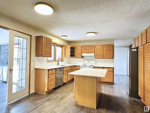 1807 104 Street, Edmonton, AB - Indoor Photo Showing Kitchen With Double Sink