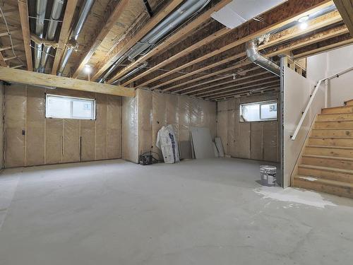 397 Bluff Cove, Leduc, AB - Indoor Photo Showing Basement