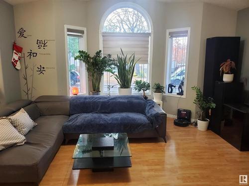 11517 83 Street, Edmonton, AB - Indoor Photo Showing Living Room