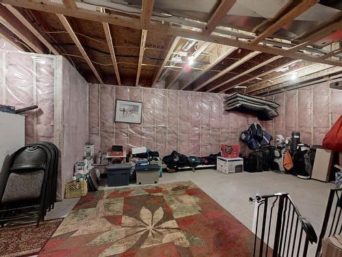 10919-175 Avenue, Edmonton, AB - Indoor Photo Showing Basement