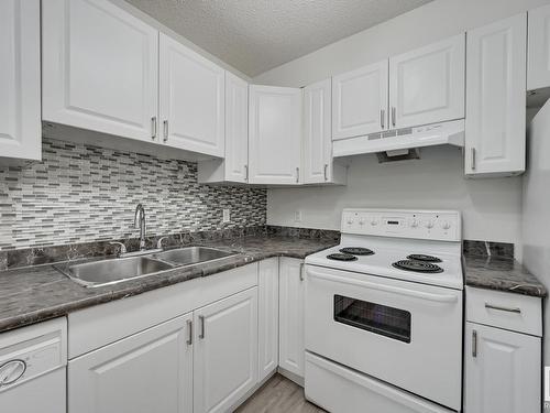 309 8117 114 Avenue, Edmonton, AB - Indoor Photo Showing Kitchen With Double Sink