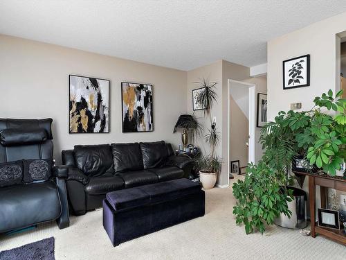 12076 25 Avenue, Edmonton, AB - Indoor Photo Showing Living Room