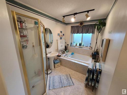 10 Garcia Place, St. Albert, AB - Indoor Photo Showing Bathroom