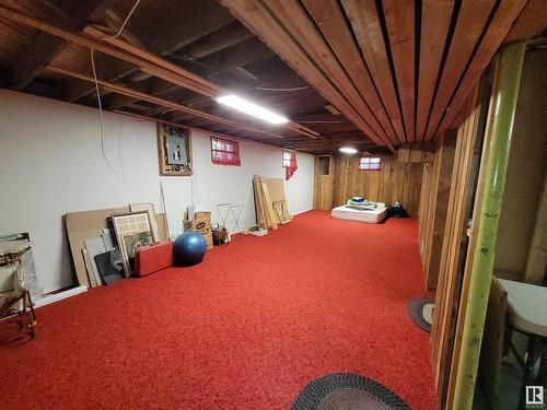 10 Garcia Place, St. Albert, AB - Indoor Photo Showing Basement