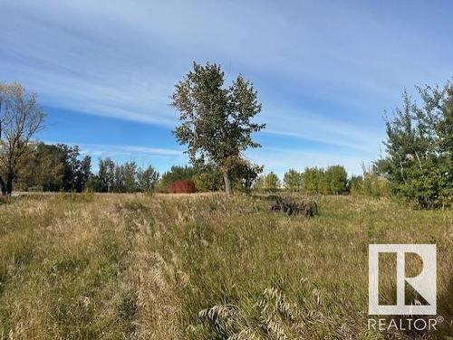 56260 Rr 213A, Rural Strathcona County, AB - Outdoor With View