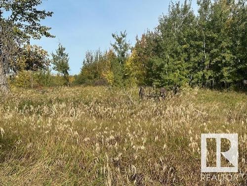 56260 Rr 213A, Rural Strathcona County, AB - Outdoor With View