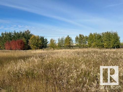 56260 Rr 213A, Rural Strathcona County, AB - Outdoor With View