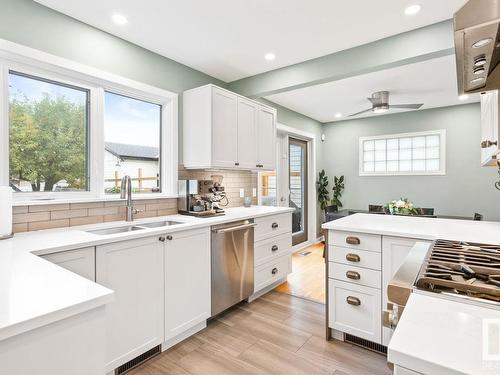 10329 136 Street, Edmonton, AB - Indoor Photo Showing Kitchen With Double Sink