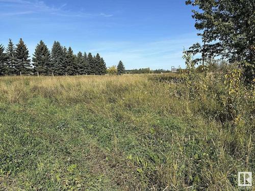 48516 Hwy 22 House B; C, Rural Brazeau County, AB 