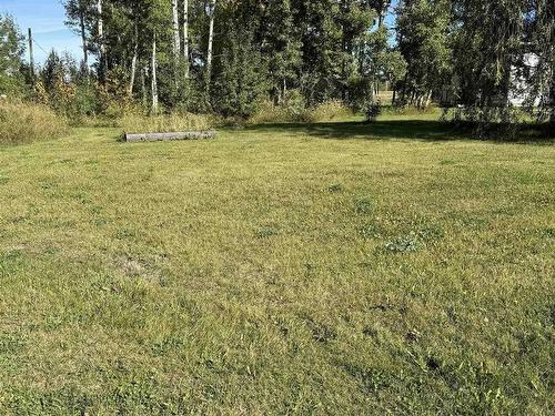 48516 Hwy 22 House B; C, Rural Brazeau County, AB 