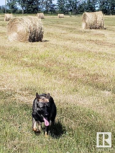 Rr 50 Twp 532, Rural Parkland County, AB 