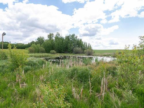 48343 Range Road 222, Rural Camrose County, AB - Outdoor With View