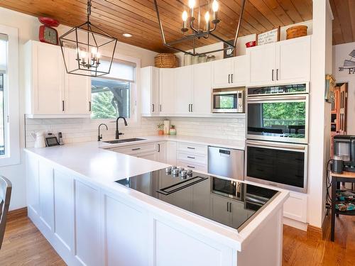 48343 Range Road 222, Rural Camrose County, AB - Indoor Photo Showing Kitchen With Upgraded Kitchen