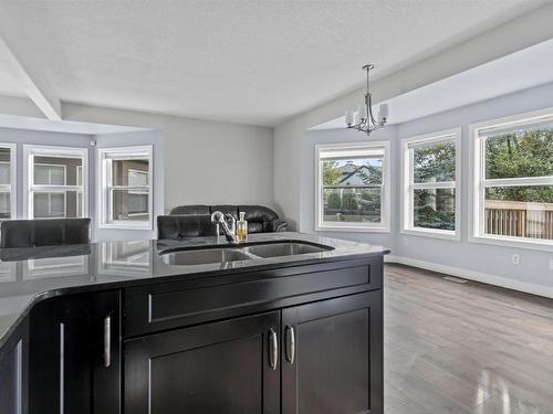 18 1720 Garnett Point Nw, Edmonton, AB - Indoor Photo Showing Kitchen With Double Sink