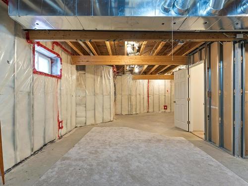 18 1720 Garnett Point Nw, Edmonton, AB - Indoor Photo Showing Basement