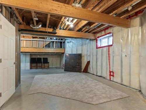 18 1720 Garnett Point Nw, Edmonton, AB - Indoor Photo Showing Basement