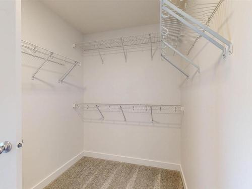 3447 Craig Landing, Edmonton, AB - Indoor With Storage