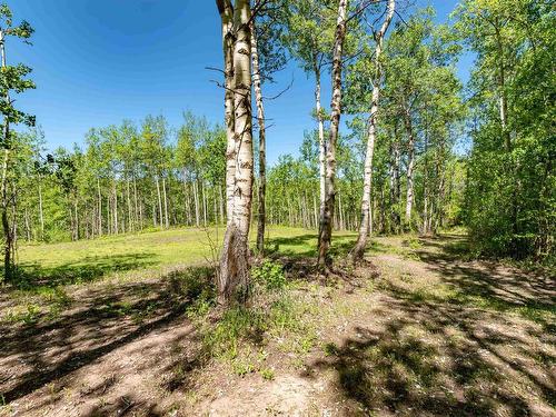 121 52514 Rge Rd 223, Rural Strathcona County, AB - Outdoor With View