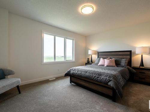 980 Daniels Loop, Edmonton, AB - Indoor Photo Showing Bedroom