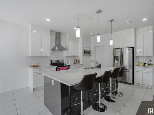 272 Fraser Way, Edmonton, AB - Indoor Photo Showing Kitchen With Stainless Steel Kitchen With Upgraded Kitchen