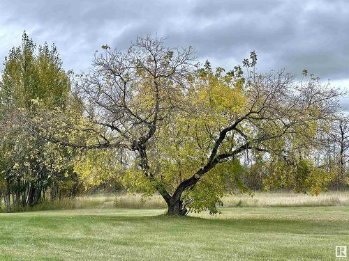 45418 Hwy 55, Rural Bonnyville M.D., AB - Outdoor With View