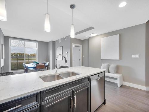 102 11080 Ellerslie Road, Edmonton, AB - Indoor Photo Showing Kitchen With Double Sink