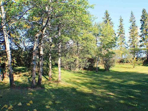 474046 Rge Rd 223, Rural Wetaskiwin County, AB 