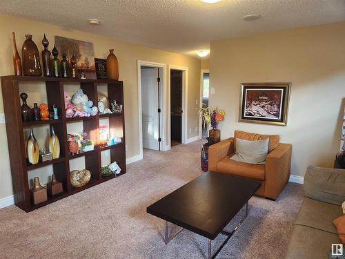 729 37A Avenue, Edmonton, AB - Indoor Photo Showing Living Room