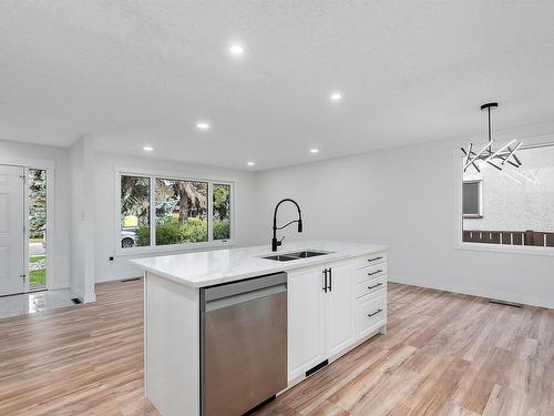 11435 46 Avenue, Edmonton, AB - Indoor Photo Showing Kitchen With Double Sink