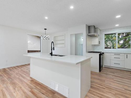 11435 46 Avenue, Edmonton, AB - Indoor Photo Showing Kitchen With Upgraded Kitchen