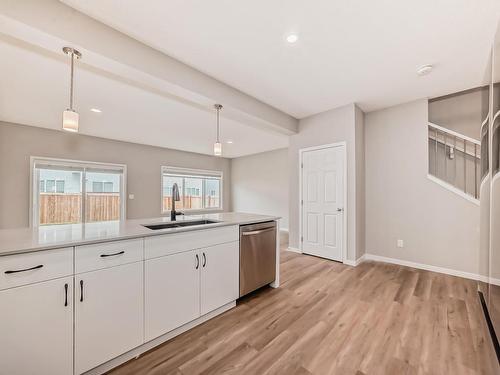 1724 Erker Way, Edmonton, AB - Indoor Photo Showing Kitchen With Double Sink