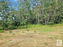 5228,5224 52 Av, Ryley, AB 