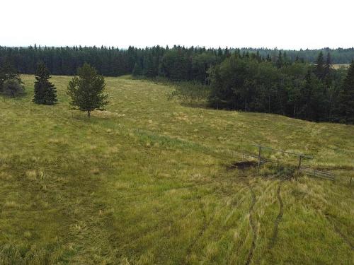 Rr 23 Twprd 494, Rural Leduc County, AB 