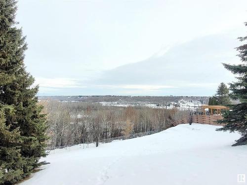 208 Grandisle Point(E) Nw, Edmonton, AB - Outdoor With View