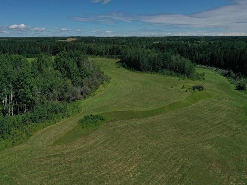 4528 Twp Rd 482, Rural Brazeau County, AB 