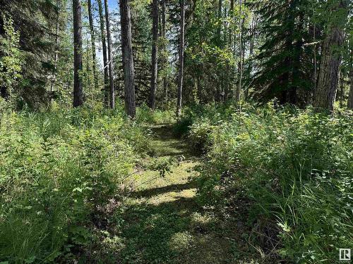 4528 Twp Rd 482, Rural Brazeau County, AB 