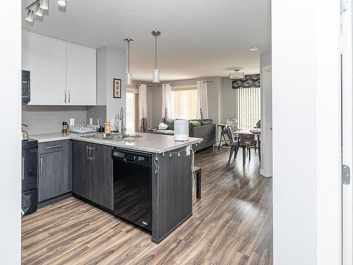 121 3670 139 Avenue, Edmonton, AB - Indoor Photo Showing Kitchen With Double Sink