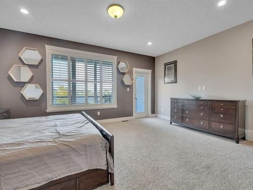 1253 Adamson Drive, Edmonton, AB - Indoor Photo Showing Bedroom