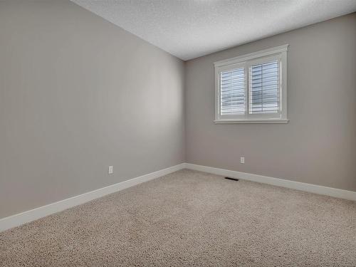 1253 Adamson Drive, Edmonton, AB - Indoor Photo Showing Other Room